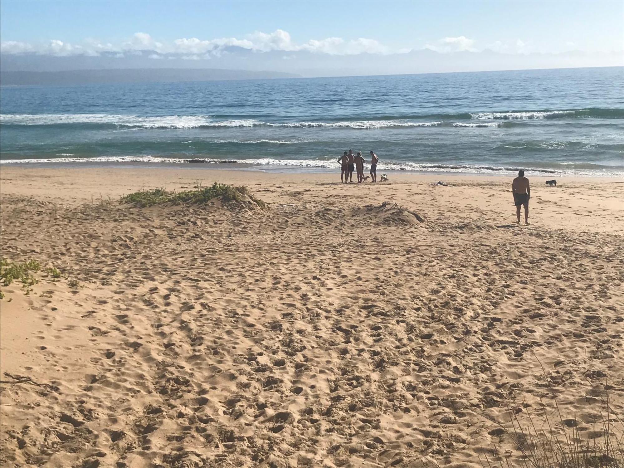 Calm Waters Guesthouse Плетенбърг Бей Екстериор снимка